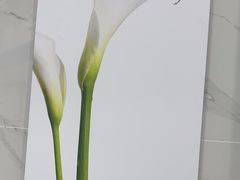-福奈特洗衣洗鞋(宝华广场店)