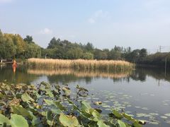 -前关湿地公园