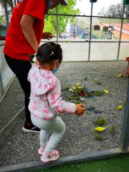 -萌宠亲子动物乐园(槐房万达店)