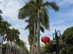 -厦门大学(思明校区)