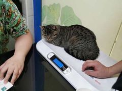 -派特宠物医院(圆融广场店)