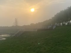 -洨河生态公园