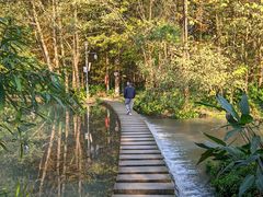 -桤木河湿地公园