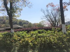 -宁波富邦荪湖山庄