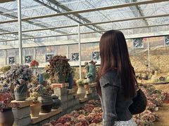 -沂蒙云瀑洞天景区