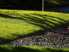 -北海道厅旧本厅舍(旧本庁舎)