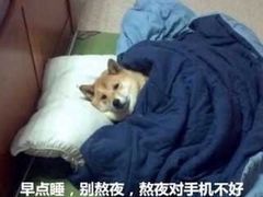 -DANXI丹喜面包·蛋糕(龙腾店)