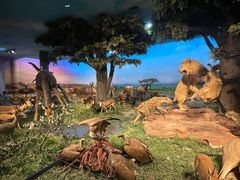 -国家自然博物馆