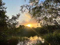 -新荣记(西溪湿地店)