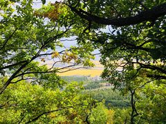 -帽儿山国家森林公园