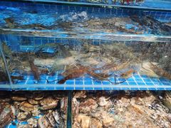 水产区-渔人湾码头海鲜市场负二楼