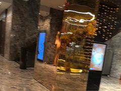 -北京康莱德酒店