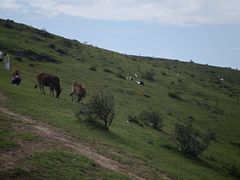 -大姆山草场