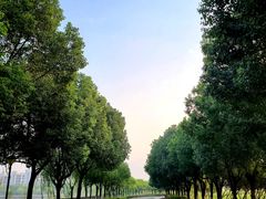 -南京医科大学(江宁校区)