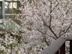 -广富林宰相府酒店·水云间