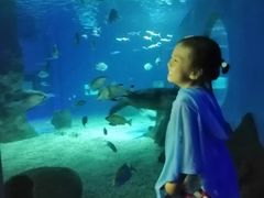 -北戴河圣蓝海洋公园