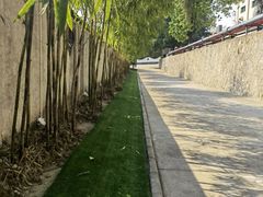 -广州神农草堂中医药博物馆