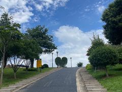 -东莞植物园
