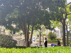 -刘嘉俊视光工作室