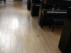 -爱琴海音乐培训·全品类乐器销售体验中心