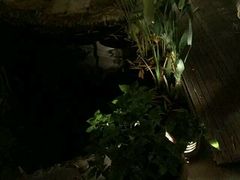android_upload_pic-新竹里馆·花园餐厅(兴苑路店)