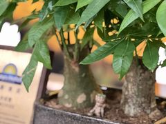 -四川江油戴斯大酒店