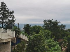 -大金鹰园