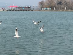 -水上明月·湖景餐厅