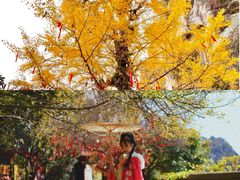 -大慈岩风景区