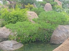 -罗红摄影艺术馆