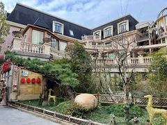 -叶叶菩提(太原别墅店)