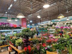 -双季花艺园艺市场(浦东店)