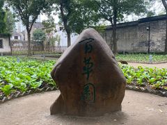 -绍兴鲁迅故里·沈园景区