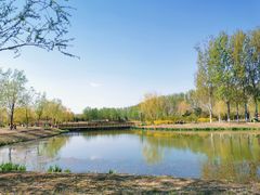 -东郊湿地公园