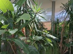-枕水江南(铁西万象汇店)
