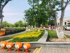 -上海长兴岛郊野公园