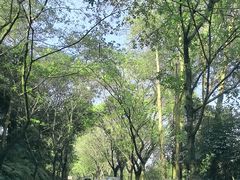 -南国桃园旅游度假区