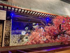 -真定郝家排骨(正定县总店)