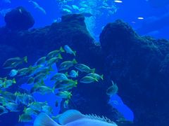 -成都浩海立方海洋公园