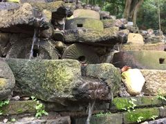-老木棉·匠园