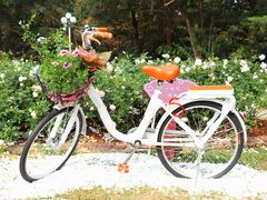 -人民公园(罗湖区)