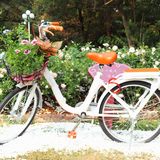 人民公园月季花展