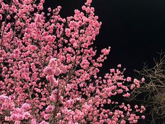 -丽江古城