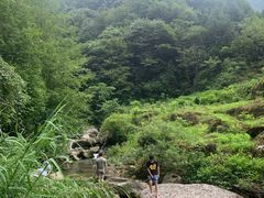 -龙窝子