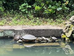 -宁波市保国寺古建筑博物馆