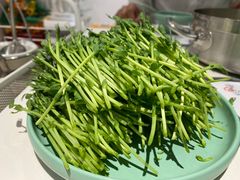 -肥佬大椰子鸡(三里屯3·3大厦店)