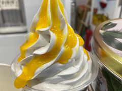 -Salud撒露欧洲冻酸奶(五道口购物中心店)