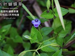 -天芳悦潭度假村温泉