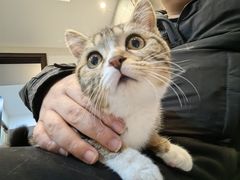 -宠爱国际动物医院·消化内科·心肾内科·ISFM猫友好(望京店)
