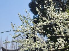 -郑和公园